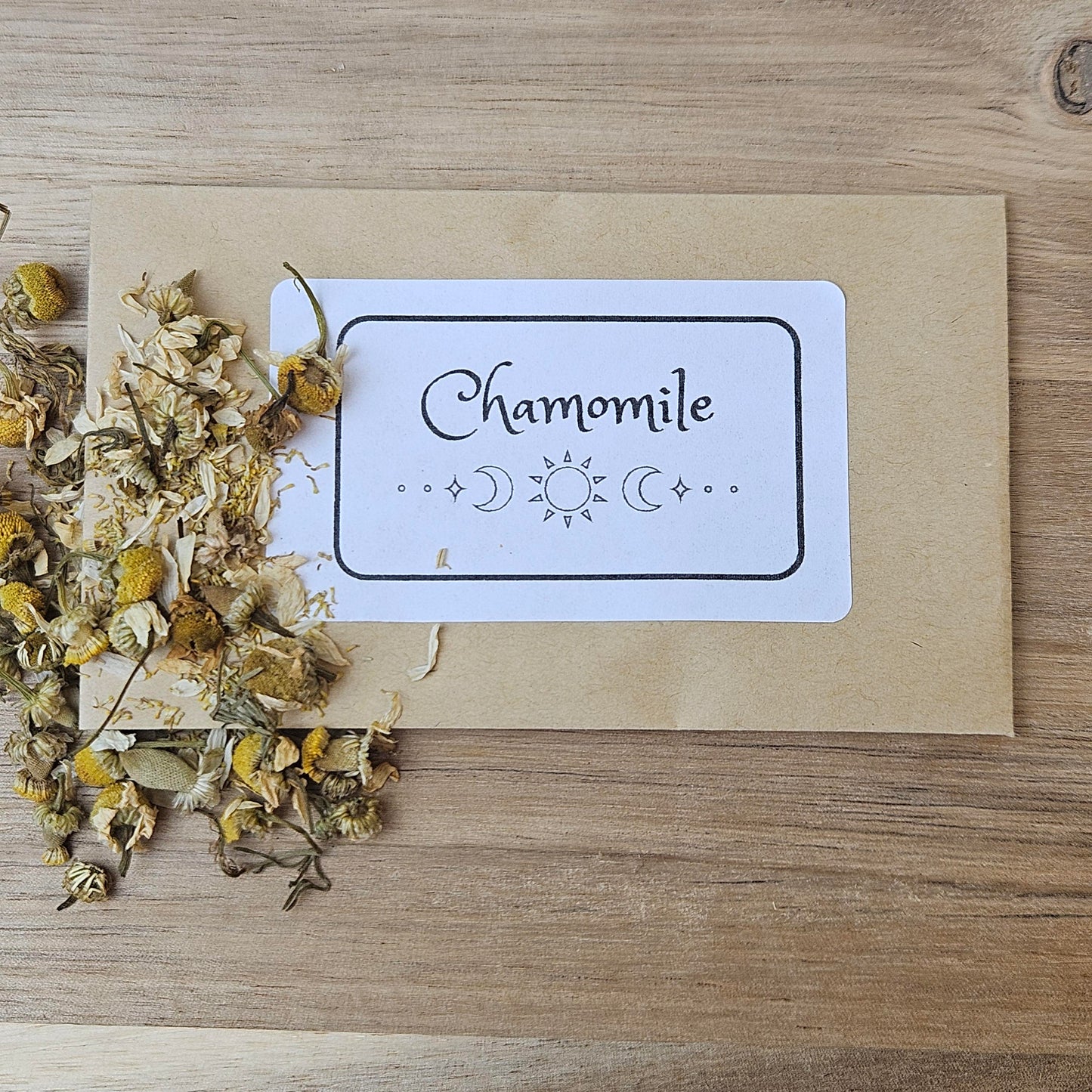 Pet Protection Spell Jar Kit - Protect Your Pet From Bad Energy & Reclaim Their Peace