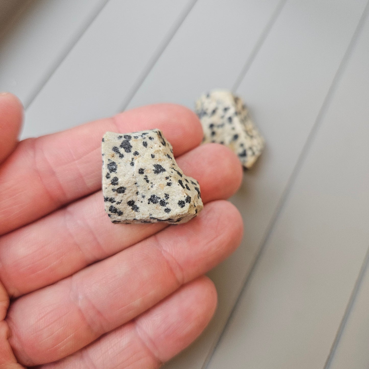 Natural Dalmatian Jasper – Protective Crystal to Lift Spirits & Ground Energy